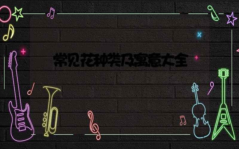  常见花种类及寓意大全